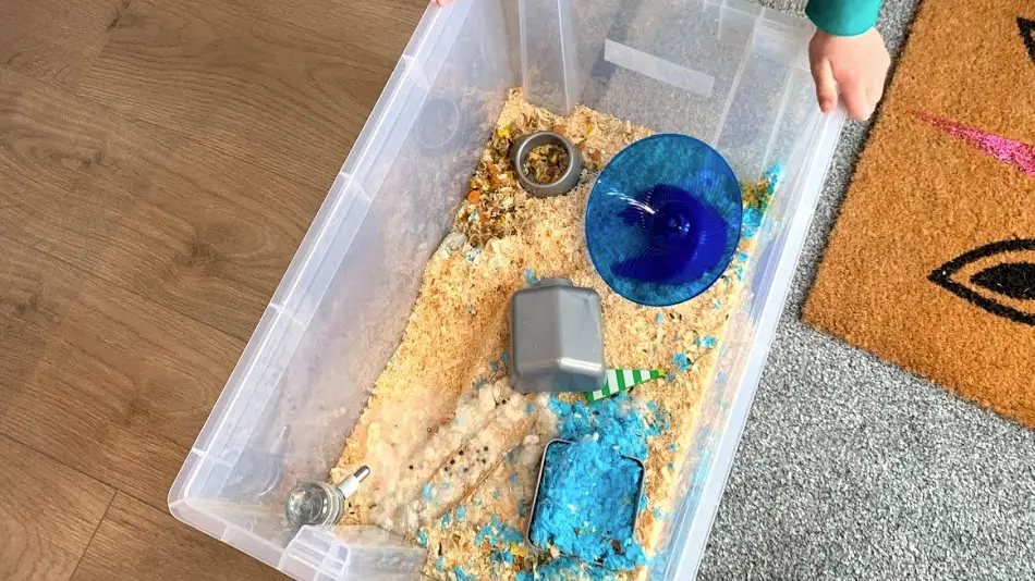 how often should you clean a hamster cage
