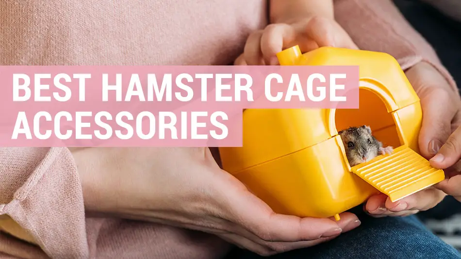 best hamster cage accessories