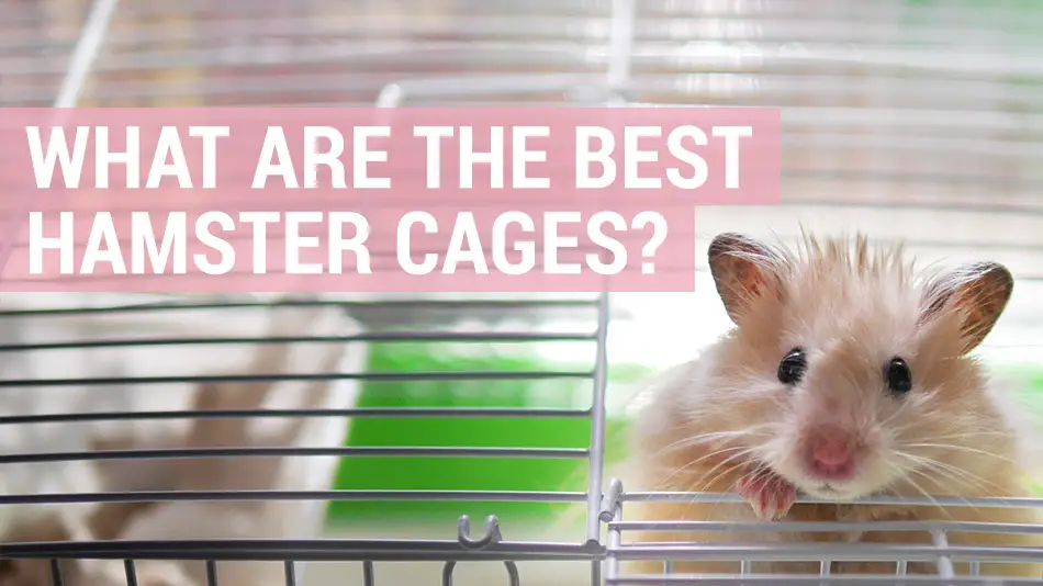 what are the best hamster cages