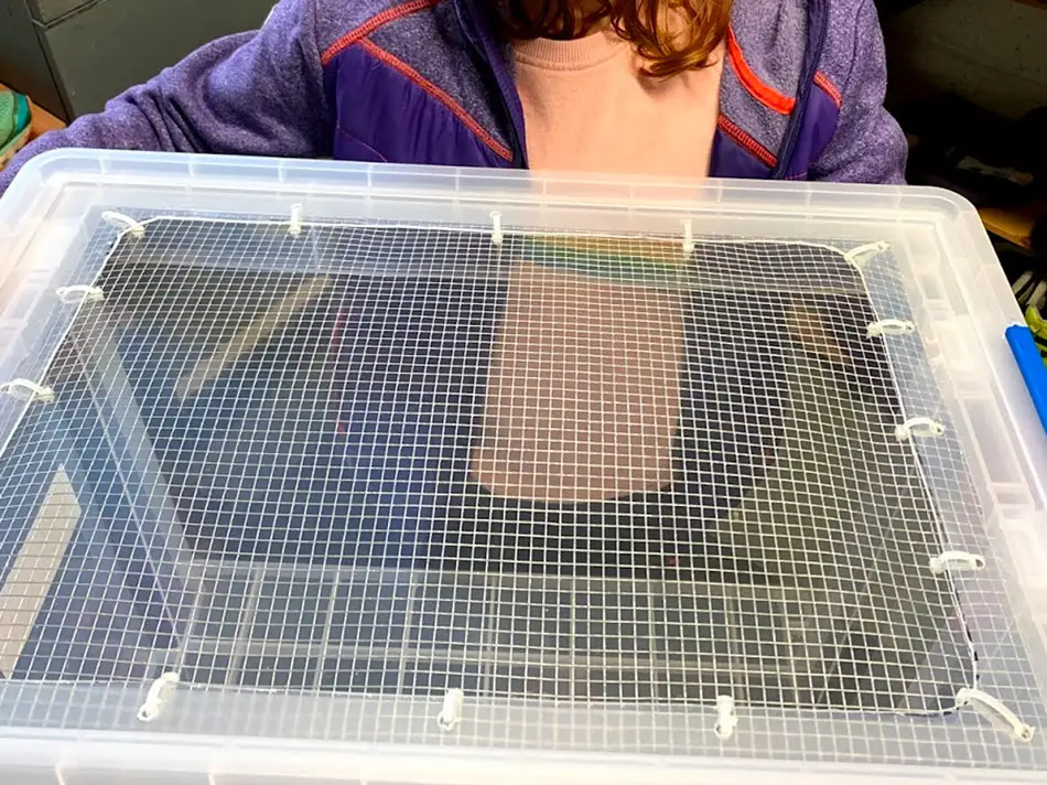 hamster bin cage with wire mesh lid