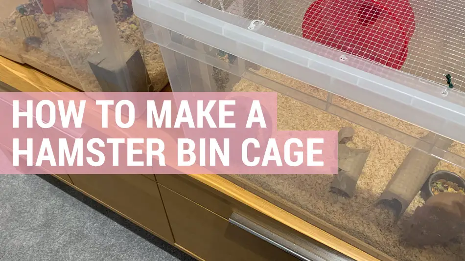 how to make a hamster bin cage