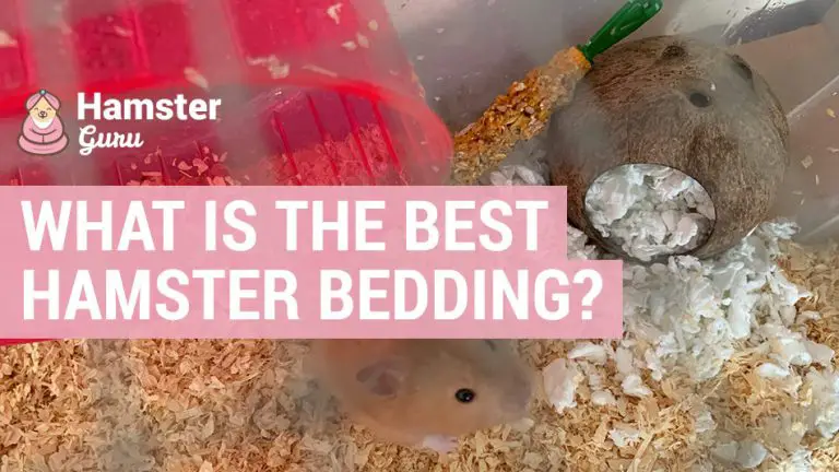 what is the best hamster bedding