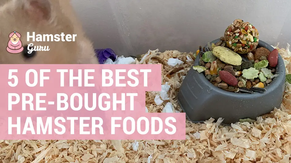 best hamster foods