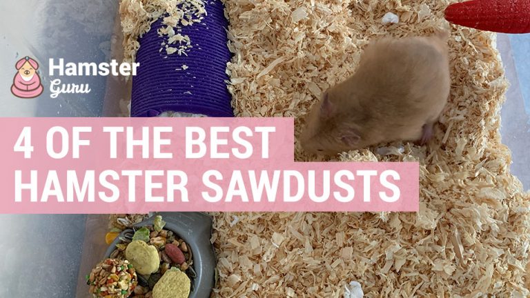 best hamster sawdust