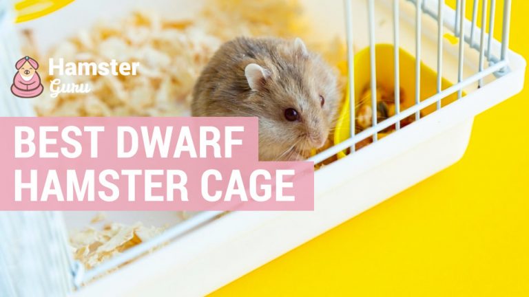 Best Dwarf Hamster Cage